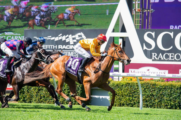 Cashel Palace shocks in Lee Steere Classic (image Western Racepix)