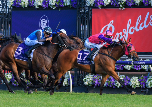 Cause For Concern powers to victory (image Grant Courtney)