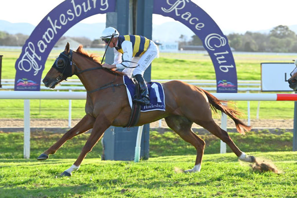 A third stakes win for Cepheus (image Hawkesbury RC/Bradley Photos)