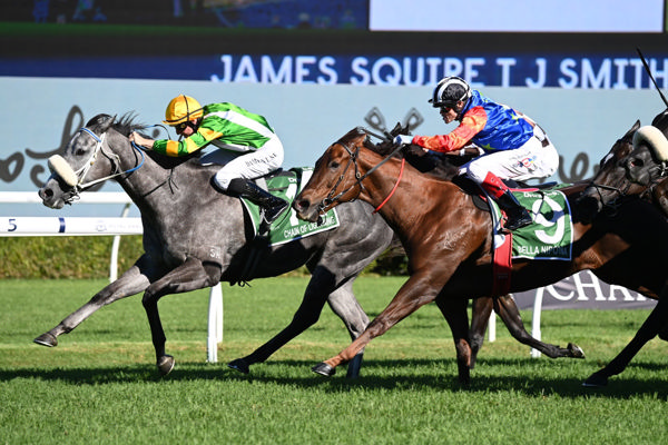 Chain of Lightning won the G1 ATC TJ Smith and holds an invitation to Royal Ascot  - image Steve Hart