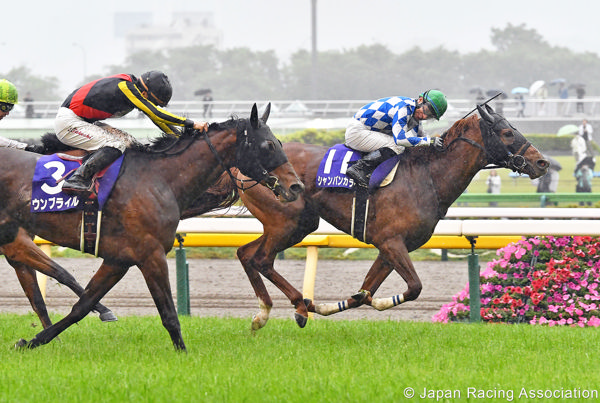 Champagne Color toughs it out in driving rain (image JRA) 