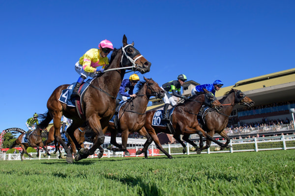 Character out wide (image Michael McInally/Racing Queensland)