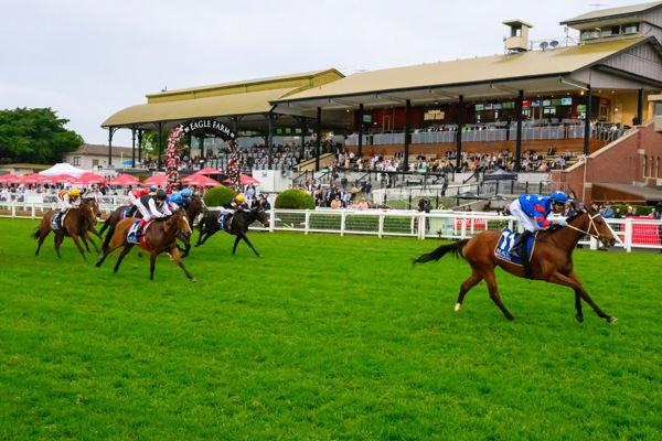 Chinny Boom wins by a space (image Racing Queensland/Michael McInally)