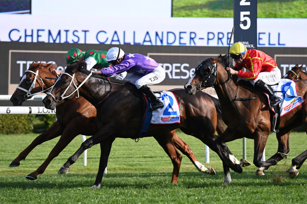 Chrysaor will be looking to turn the tables on Cifrado in the 3YO Guineas - image Steve Hart