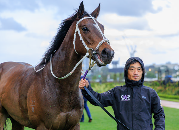 Chrysaor strikes a pose (image Grant Courtney)