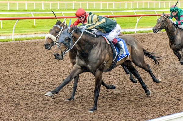 Tough win (image Brett Holburt/Racing Photos)