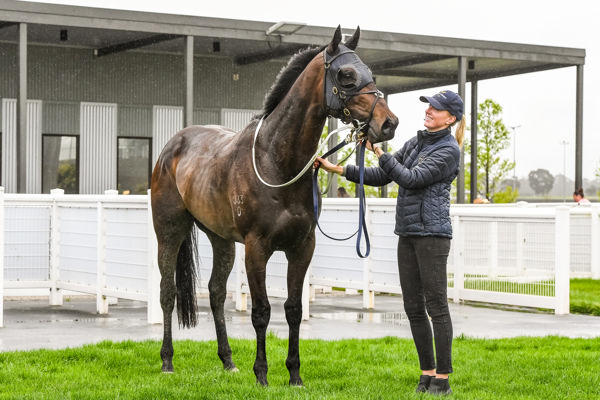 A bright spot on a gloomy day (image Brett Holburt/Racing Photos)