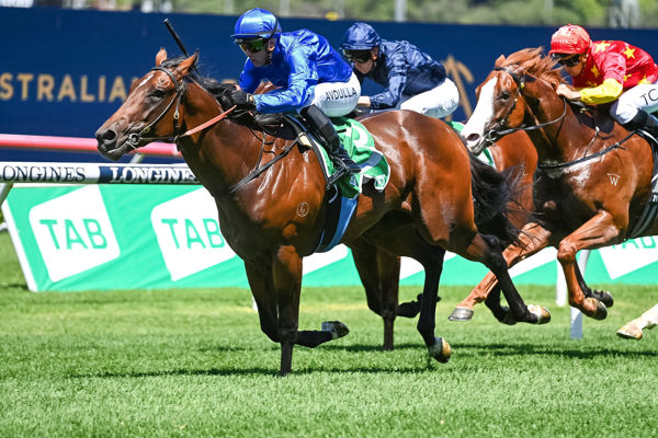 Coriche another Slipper hopeful for the blue army (image Steve Hart)