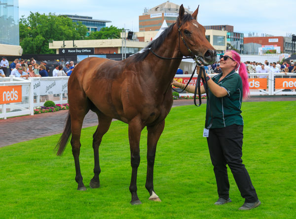 Crosshaven a wonderful money spinner for connections (image Grant Courtney)
