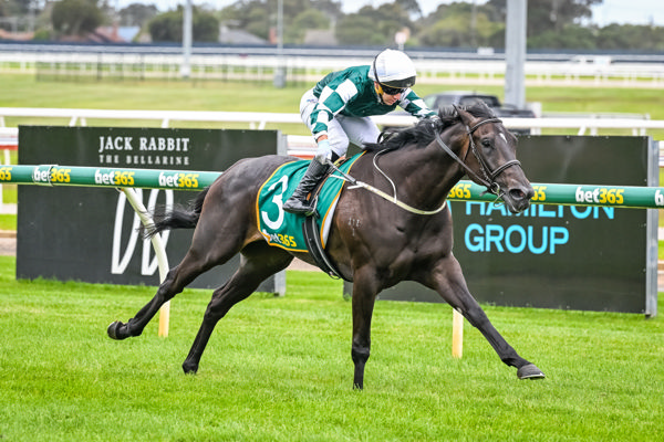 Impressive debut (image Reg Ryan/Racing Photos)