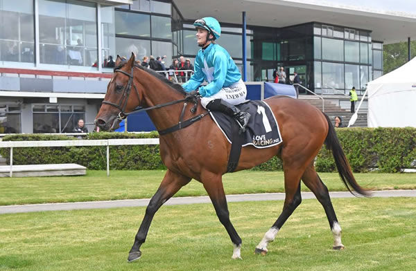 December maintained his unbeaten status at Wanganui on Saturday. Photo: Peter Rubery (Race Images Palmerston North)