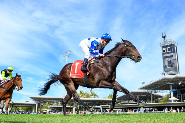 In a class of his own (image Michael McInally/Racing Queensland)
