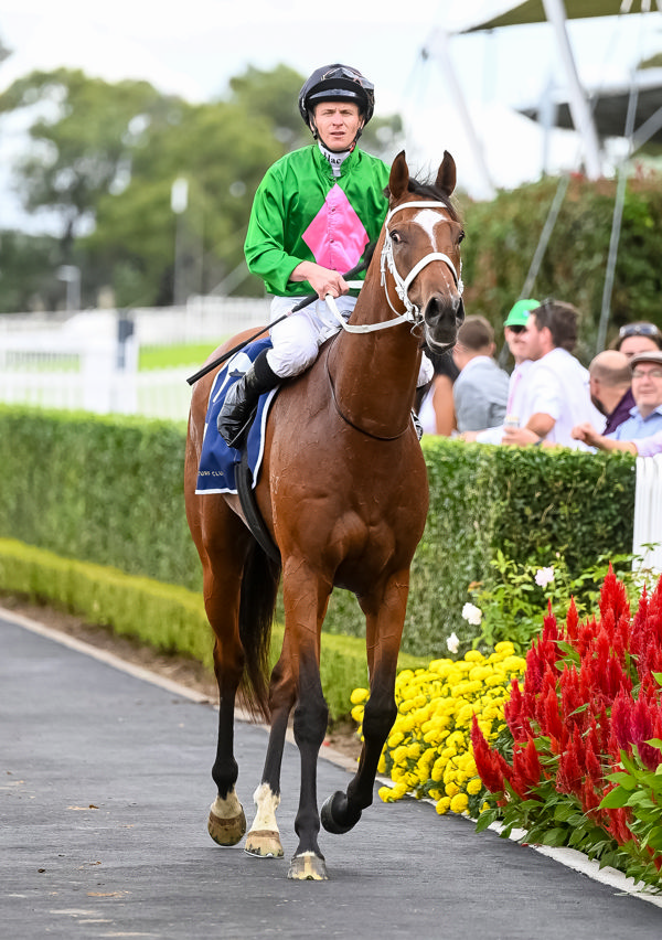 Rounds out another big day for Waller and McDonald (image Steve Hart)