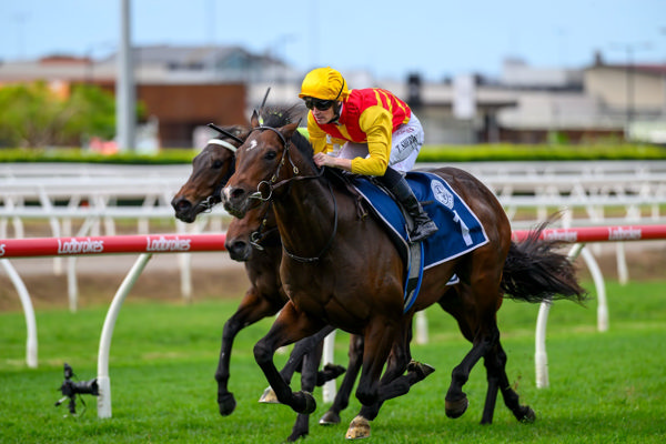 Depth Of Character goes on by (image Racing Queensland/Michael McInally)