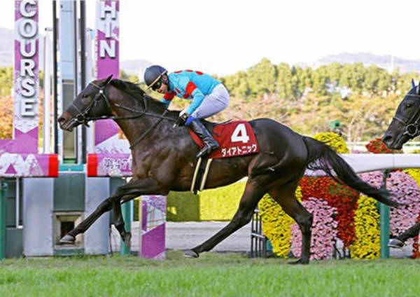 Diatonic (Jpn) is new to the roster.