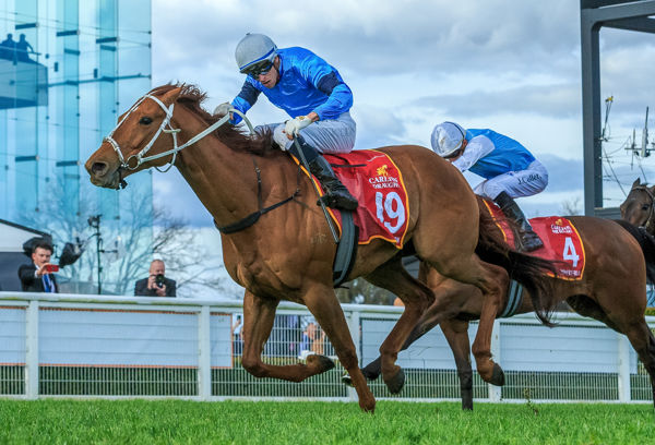 Durston and Micky Dee win the Caulfield Cup (image Grant Courtney)