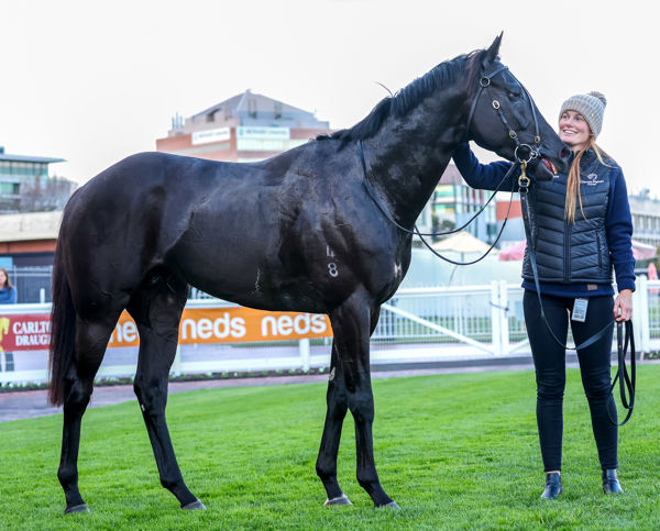 Ameerati is a half-sister to $1.1million Deep Impact colt Alzamee (image Gorge Sal/Racing photos)