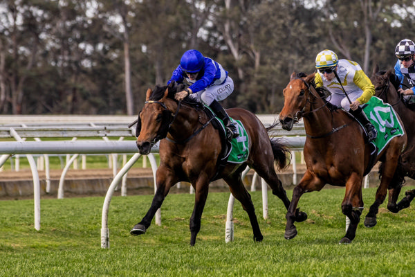 Enriched takes the shortest way home (image Michael Freedman Racing/Georgia Young Photo)