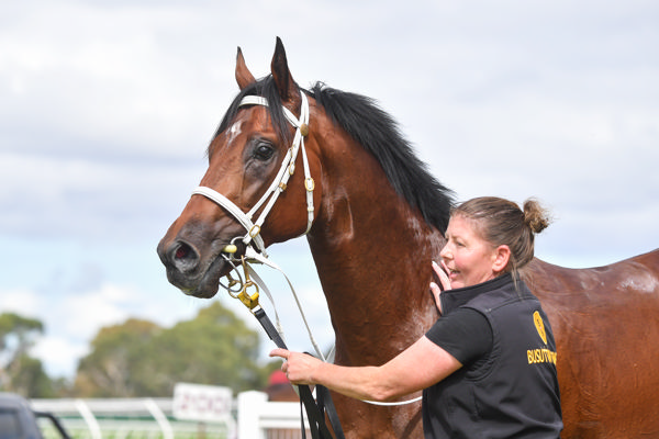 Listed Anzac Stakes on the radar (image Pat Scala)