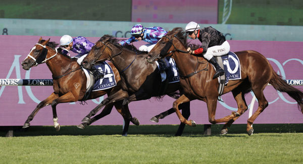 Espiona dashes through on the inside to win G2 Coolmore - image Steve Hart