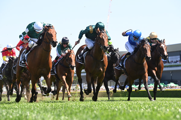 Straight Charge nosed out by Espionage in Breeders' Plate (image Steve Hart)