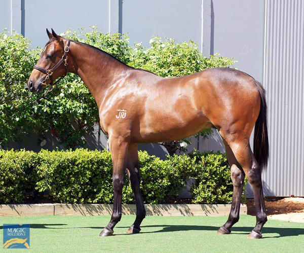 Esskay a $90,000 Magic Millions yearling