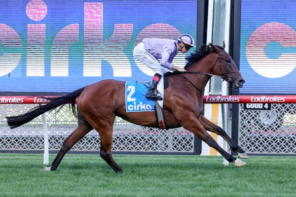 Too easy for Exceed The Dream (image George Sale/Racing Photos)