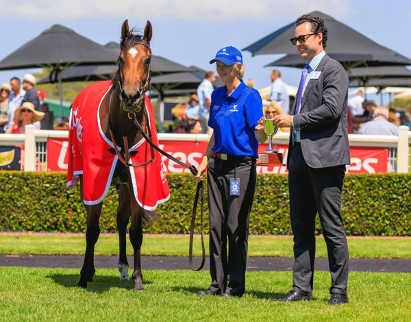 Exploring a 22nd stakes winner for Brazen Beau (image Grant Courtney)