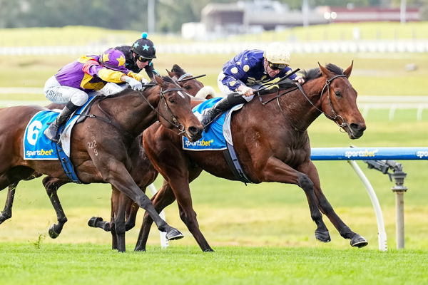 Fabrice makes winning debut (image Scott Barbour/Racing Photos)