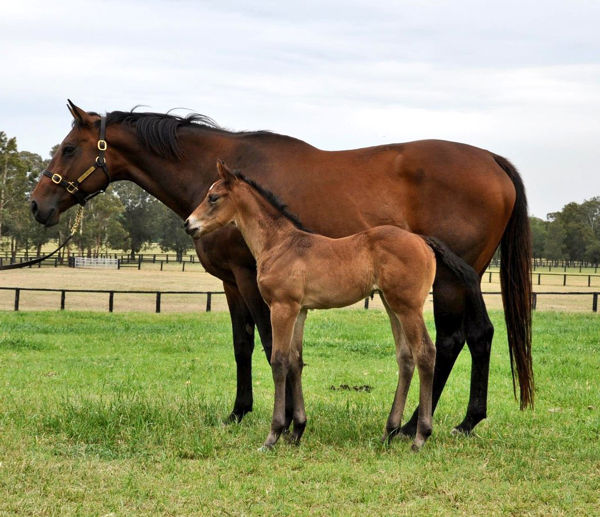 Fangirl with mum Little Surfer Girl (image Coolmore)
