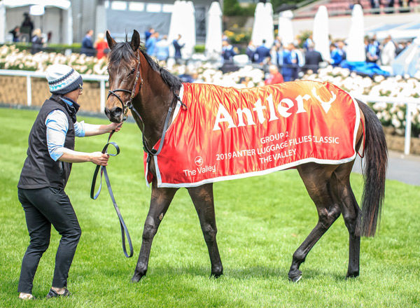 Fascino gets her chance to model the winners spoils image Grant Courtney