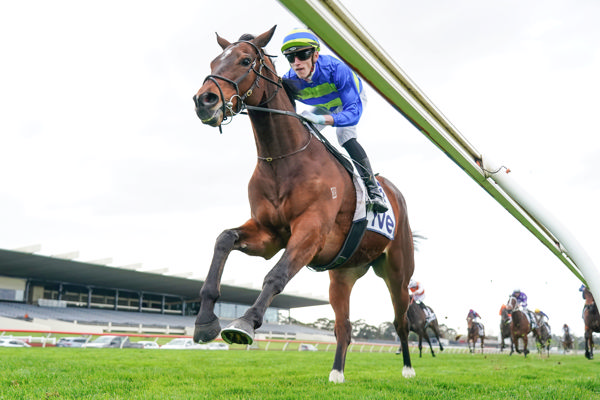 Federer in splendid isolation (image Scott Barbour/Racing Photos) 