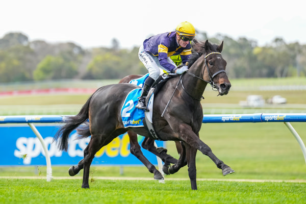 Could not have been more impressive (image Scott Barbour/Racing Photos)