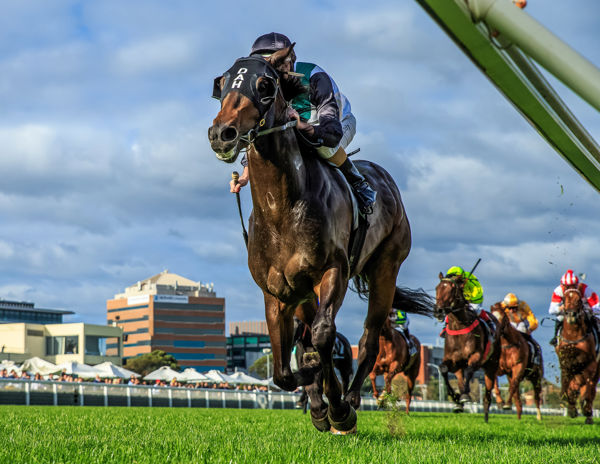 Finance Tycoon puts a space on them in The Showdown (image Grant Courtney)