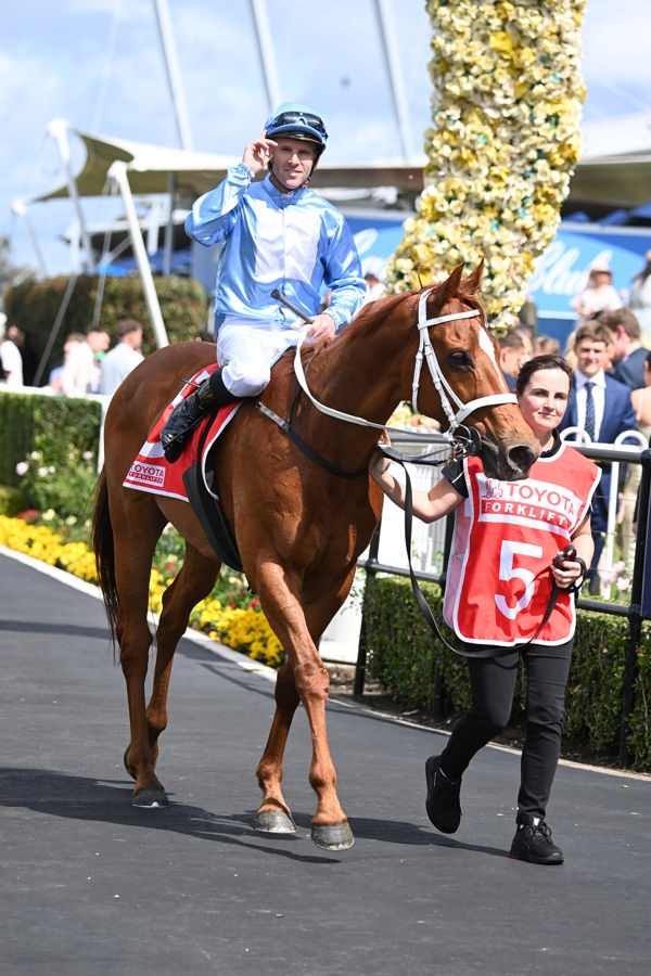 First Light -Tommy Berry (image Steve Hart)