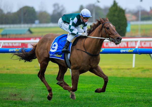 A bit of drizzle is not a worry for First Settler (image Grant Courtney)