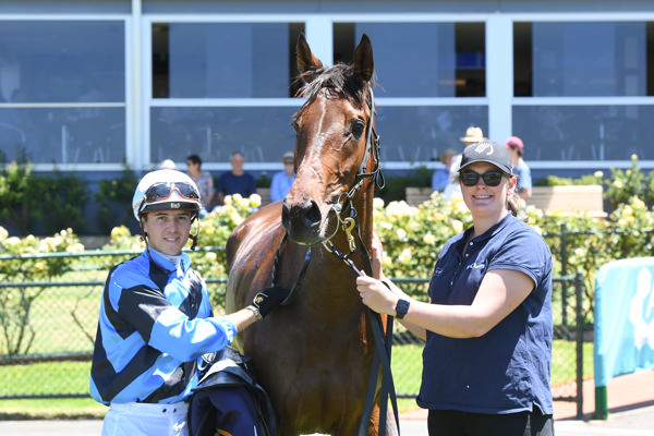 A promising stayer in the right stable (image Brett Holburt/Racing Photos)