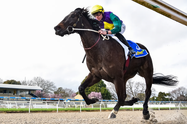 Fluent puts a space on them (image Pat Scala/Racing Photos)