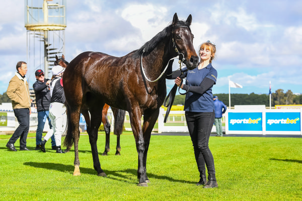 Fluent is a grand type by Shamus Award (image Pat Scala/Racing Photos)