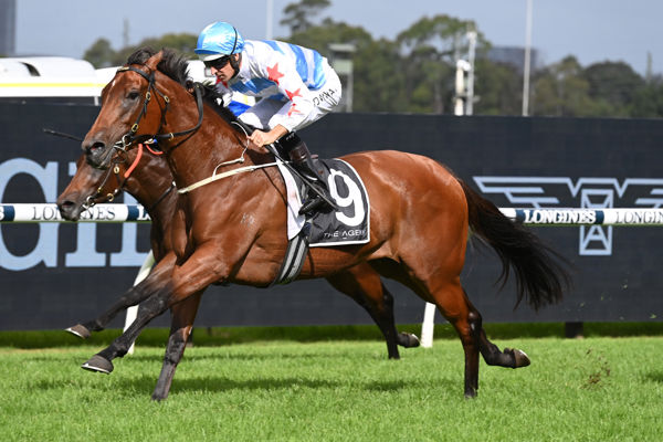 TRiple Group I winner Forbidden Love will be offered for sale at the Gold Coast - image Steve Hart