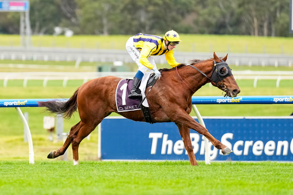 Freak Of Nature puts them to the sword (image Scott Barbour/Racing Photos)