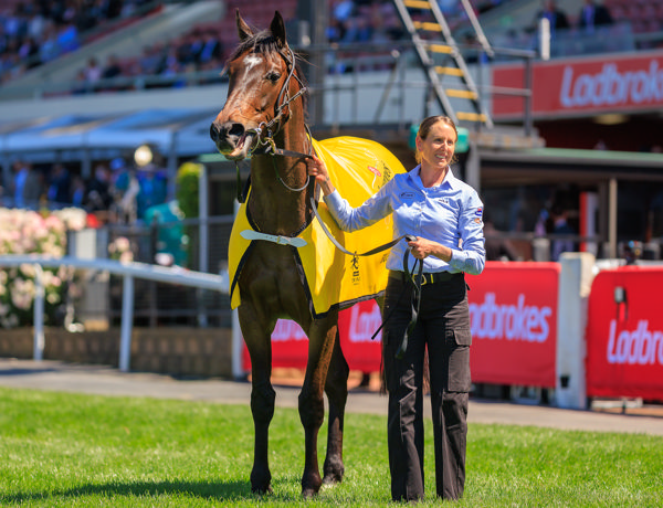 Future History looking pleased with himself (image Grant Courtney)