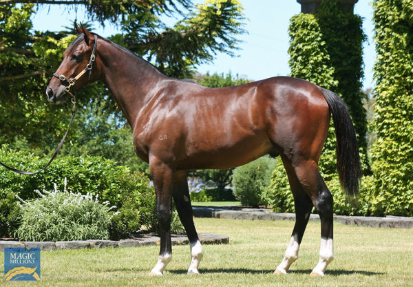 Gates a $950,000 Magic Millions yearling