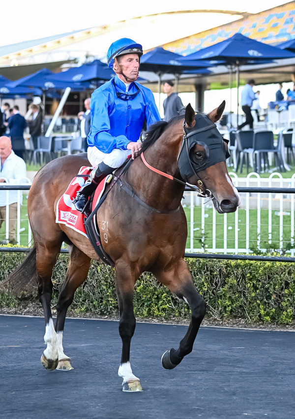 A good day for Nash and Godolphin (image Steve Hart)
