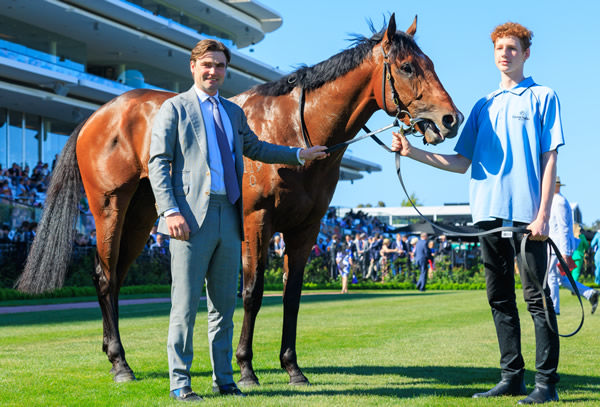 Griff is headed to the Caulfield Guineas - image Grant Courtney