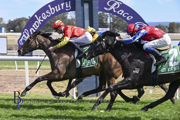 Impressive debut (image Hawkesbury Race Club/Bradley Photos)