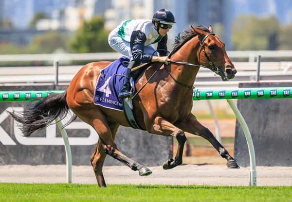 Hard Kick wins the Listed Talindert by a space - image Grant Courtney