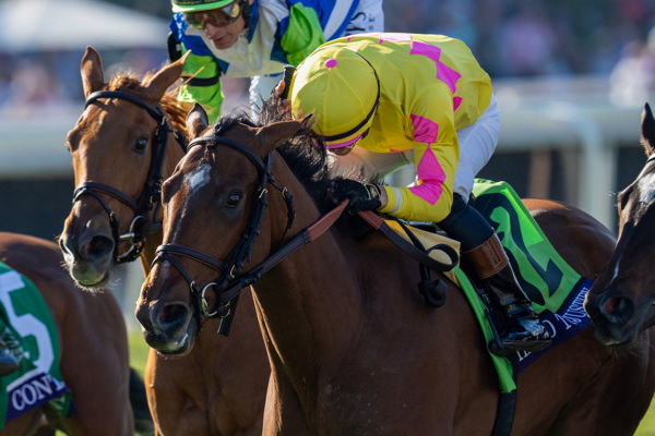 Just F Y I Another Impressive G1 Winner for Justify