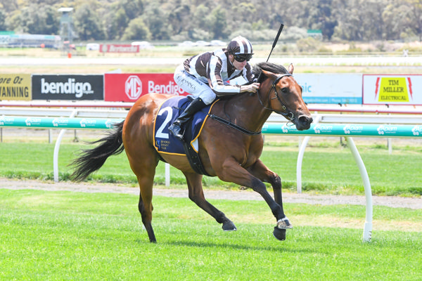 Off the mark at start two (image Brett Holburt/Racing Photos)