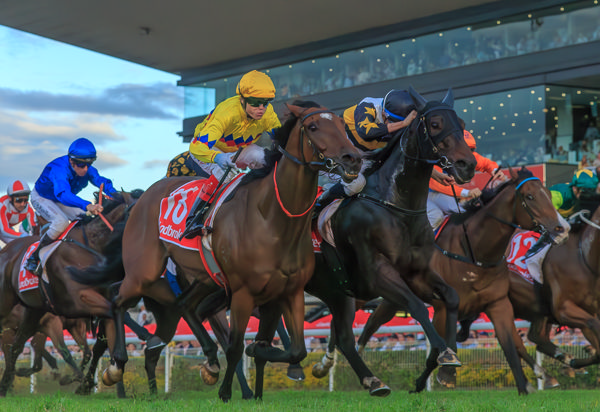 Here To Shock (black cap) gets the bob (image Grant Courtney)